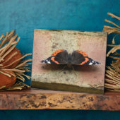 Red Admiral Butterfly Plaque Fotoplatte (Seite)