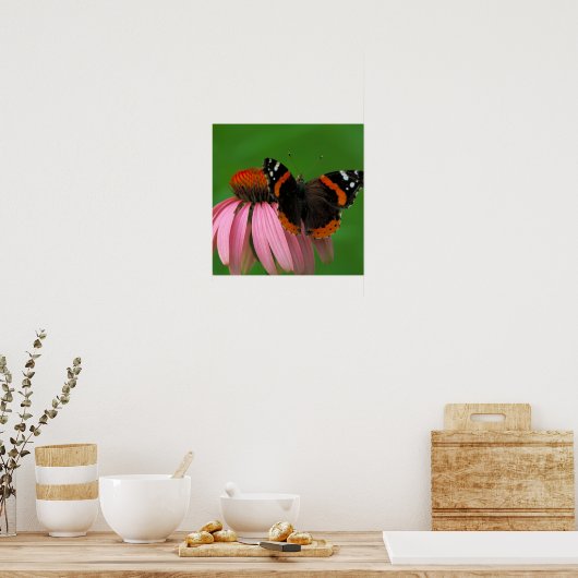 Red Admiral Butterfly Poster (Küche)