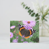 Red Admiral Butterfly Postkarte (Stehend Vorderseite)