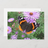 Red Admiral Butterfly Postkarte (Vorne/Hinten)