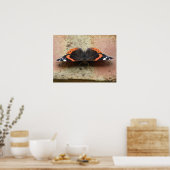 Red Admiral Butterfly Print Poster (Küche)
