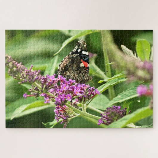Red Admiral Butterfly Puzzle (Horizontal)