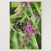 Red Admiral Butterfly Puzzle (Vertikal)