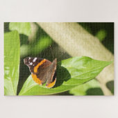 Red Admiral Butterfly Puzzle (Horizontal)