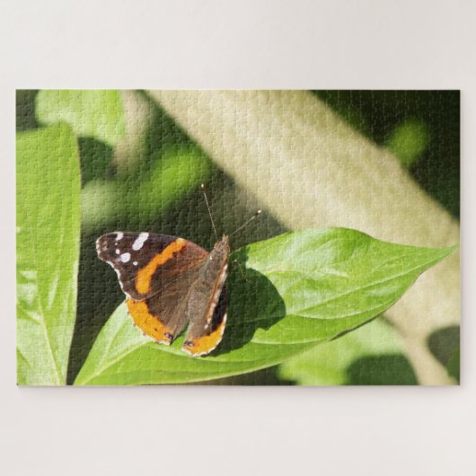 Red Admiral Butterfly Puzzle (Horizontal)