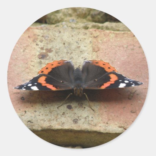 Red Admiral Butterfly Stickers (Vorderseite)
