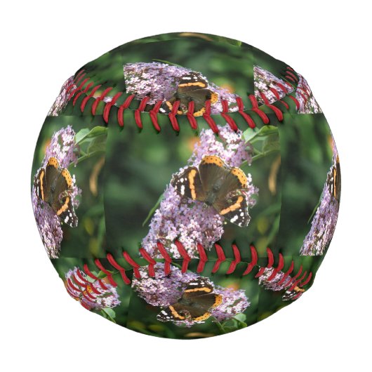 Red Admiral Butterfly und Buddleia Baseball (Vorderseite)