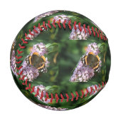Red Admiral Butterfly und Buddleia Baseball (Vorderseite Links)