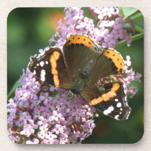 Red Admiral Butterfly und Buddleia Cork Untersetze Getränkeuntersetzer