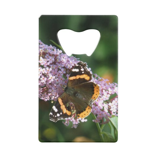 Red Admiral Butterfly und Buddleia Flaschenöffner (Vorderseite)