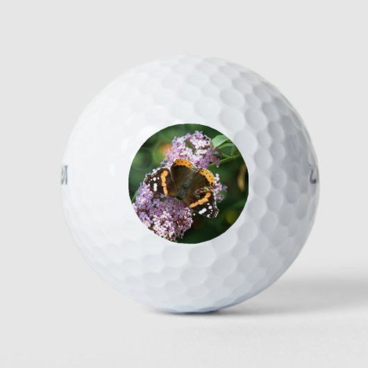 Red Admiral Butterfly und Buddleia Golf Ball (Vorderseite)