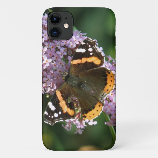 Red Admiral Butterfly und Buddleia iPhone Case (Rückseite)