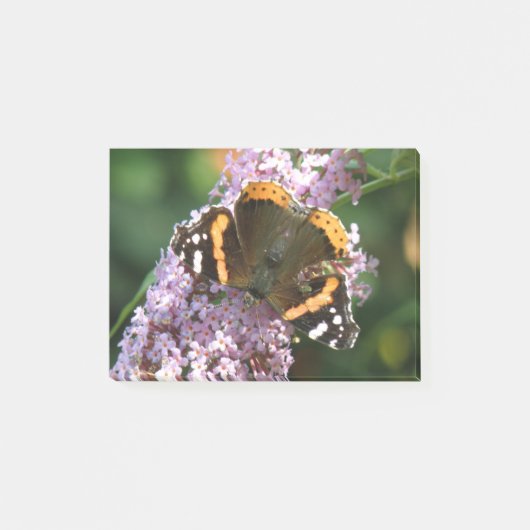 Red Admiral Butterfly und Buddleia Post notiert Post-it Klebezettel (Vorderseite)