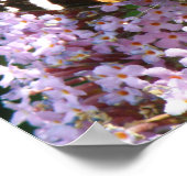 Red Admiral Butterfly und Buddleia Poster (Ecke)