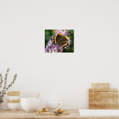 Red Admiral Butterfly und Buddleia Poster (Küche)