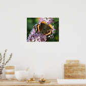 Red Admiral Butterfly und Buddleia Poster (Küche)