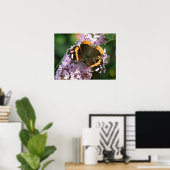 Red Admiral Butterfly und Buddleia Poster (Heimbüro)