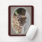 Red Admiral Butterfly Underwings Mousepad (Mit Mouse)