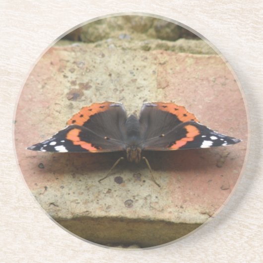 Red Admiral Butterfly Untersetzer (Vorne)