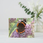 Red Admiral Postcard Postkarte (Stehend Vorderseite)