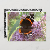 Red Admiral Postcard Postkarte (Vorne/Hinten)