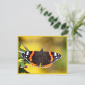 Red Admiral Postkarte (Stehend Vorderseite)