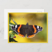 Red Admiral Postkarte (Vorne/Hinten)