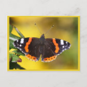 Red Admiral Postkarte (Vorderseite)