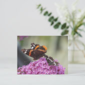 Red Admiral und Map Butterfly DIY Postkarte (Stehend Vorderseite)
