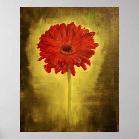 Red African Daisy Poster (Vorne)