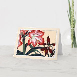 Red Amarylli, Botanicals Card - Kundenfreundlichke Dankeskarte