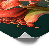 Red Amaryllis Blume Art Print Poster (Ecke)