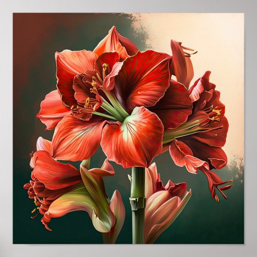 Red Amaryllis Blume Art Print Poster (Vorne)