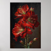 Red Amaryllis Blume Art Print Poster (Vorne)