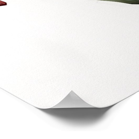 Red Amaryllis Blume Art Print Poster (Ecke)