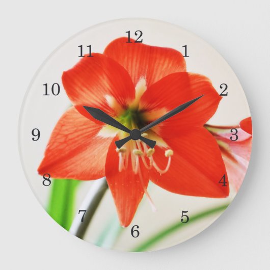 Red Amaryllis Blume Große Wanduhr (Vorderseite)