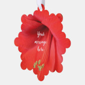 Red Amaryllis Blume Keepake Picture Ornament Karte (Linke Ecke)