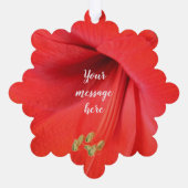 Red Amaryllis Blume Keepake Picture Ornament Karte (Rückseite)