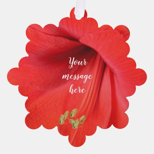 Red Amaryllis Blume Keepake Picture Ornament Karte (Vorderseite)