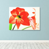 Red Amaryllis Blume Leinwanddruck (Insitu (Holzboden))