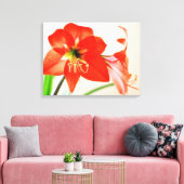 Red Amaryllis Blume Leinwanddruck (Insitu (Wohnzimmer))