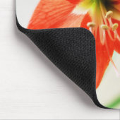 Red Amaryllis Blume Mousepad (Ecke)