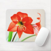 Red Amaryllis Blume Mousepad (Mit Mouse)