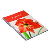 Red Amaryllis Blume Notizblock (Rechte Seite)
