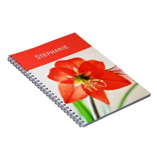 Red Amaryllis Blume Notizblock (Rechte Seite)