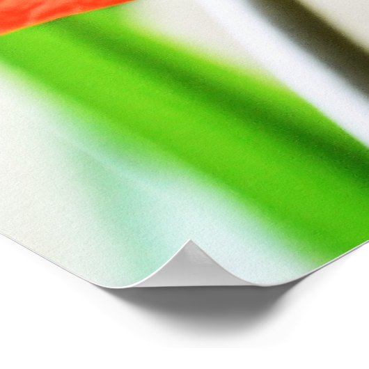 Red Amaryllis Blume Poster (Ecke)