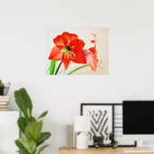 Red Amaryllis Blume Poster (Heimbüro)