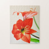 Red Amaryllis Blume Puzzle (Vertikal)