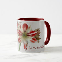 Red Amaryllis Blume Tasse mit benutzerdefiniertem 