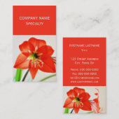 Red Amaryllis Blume Visitenkarte (Vorne/Hinten)